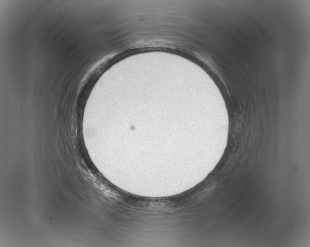 X0000080140979200701051509