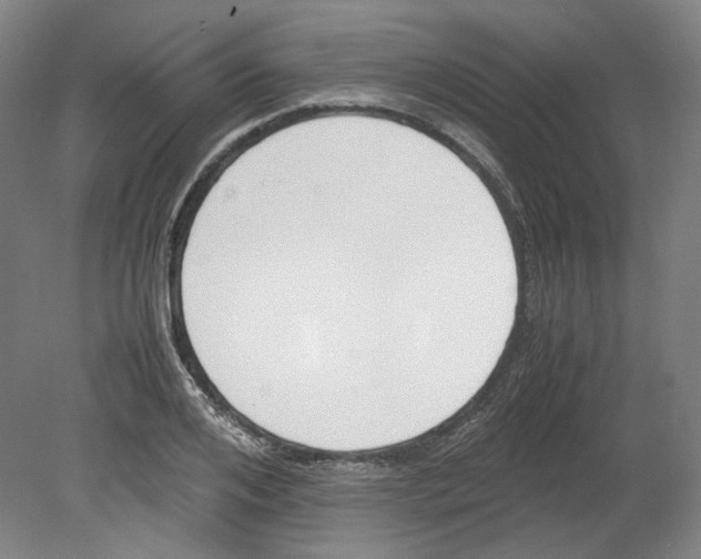 X0000080140984200701051509