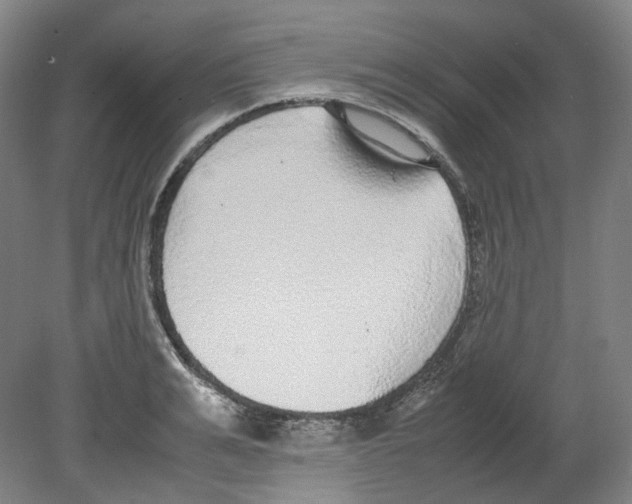 X0000080140991200701051509