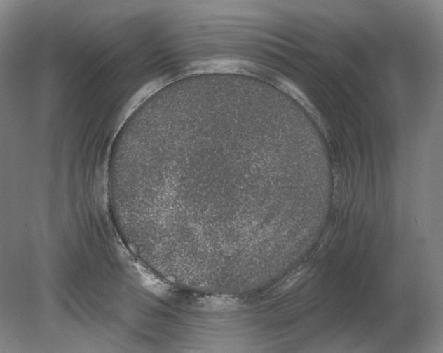 X0000080140994200701051509