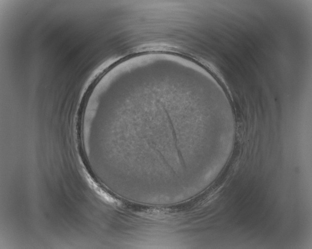 X0000080140995200701051509