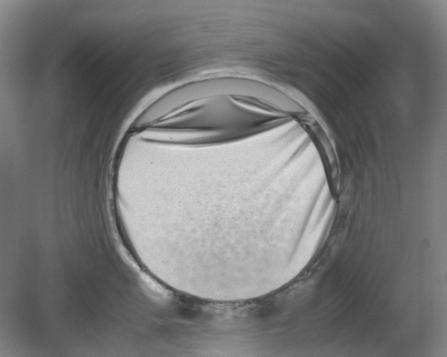 X0000080141005200701051508