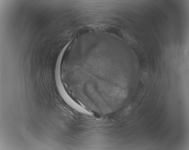 X0000080141010200701051508