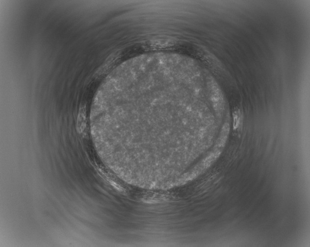 X0000080141011200701051508