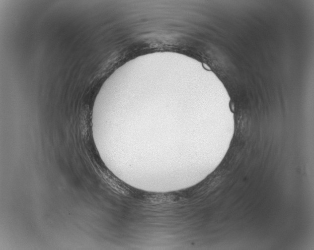 X0000080141012200701051508