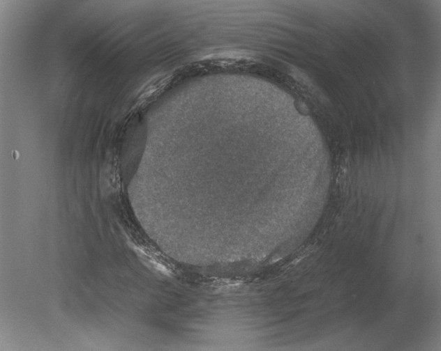 X0000080141014200701051508