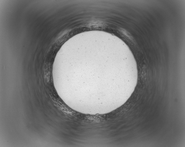 X0000080141015200701051508