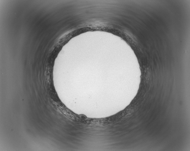 X0000080141016200701051508