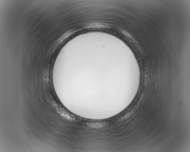 X0000080141017200701051508
