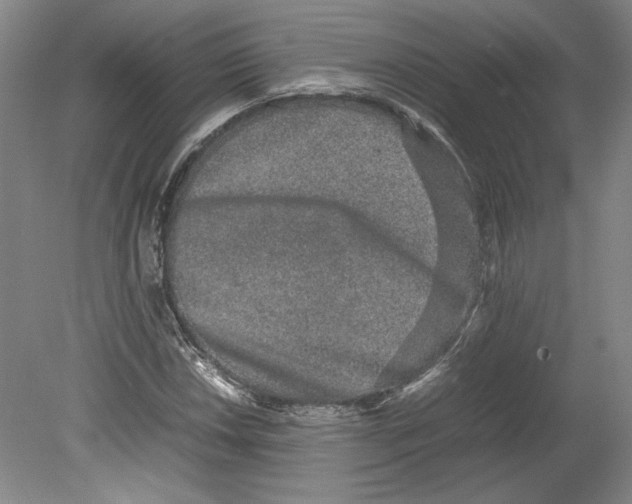 X0000080141018200701051508