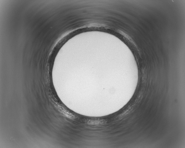 X0000080141021200701051508
