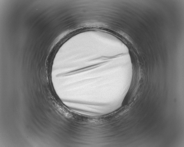 X0000080141022200701051508