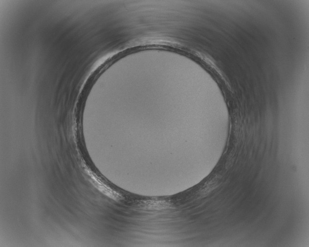X0000080141024200701051508