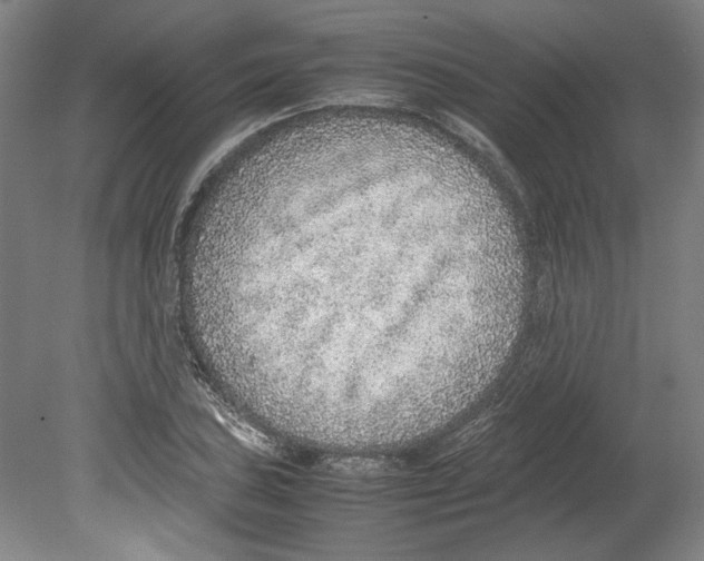 X0000080141027200701051508