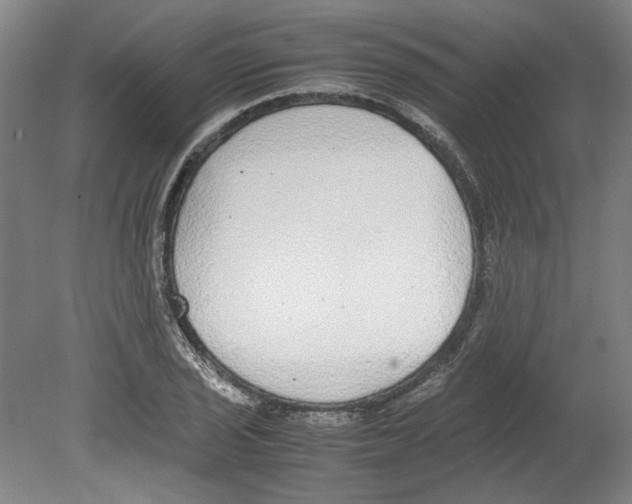 X0000080141029200701051508