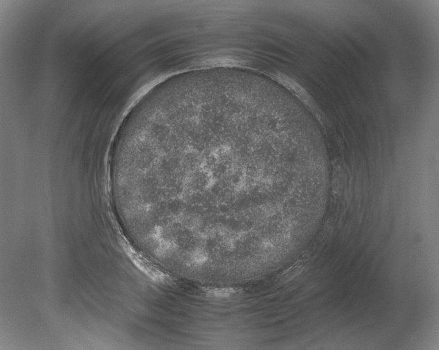 X0000080141031200701051508