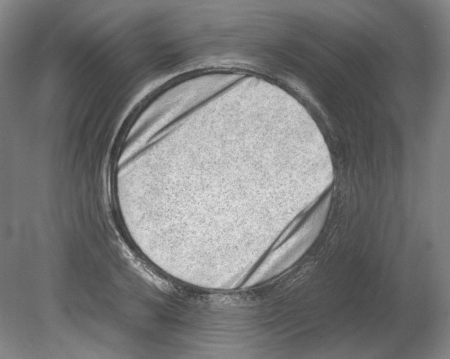 X0000080141032200701051508