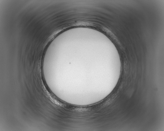 X0000080141033200701051508
