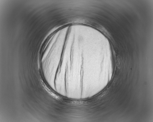 X0000080141036200701051508