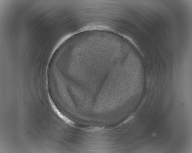X0000080141038200701051508