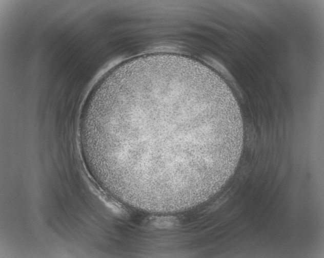 X0000080141043200701051508