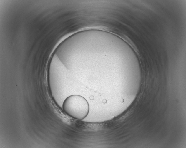 X0000080141044200701051508