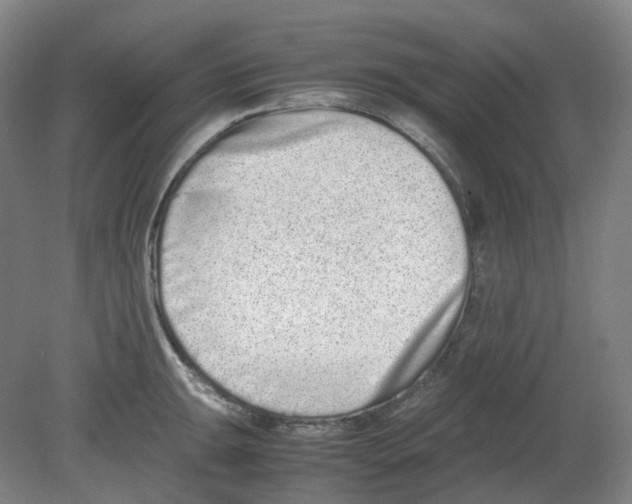X0000080141047200701051508