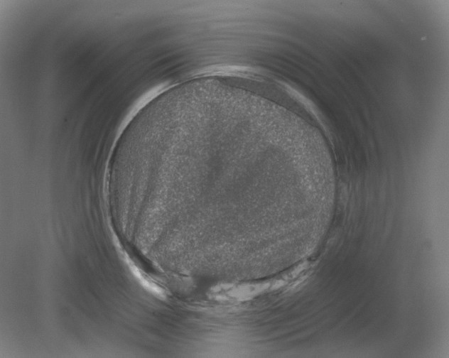 X0000080141050200701051508