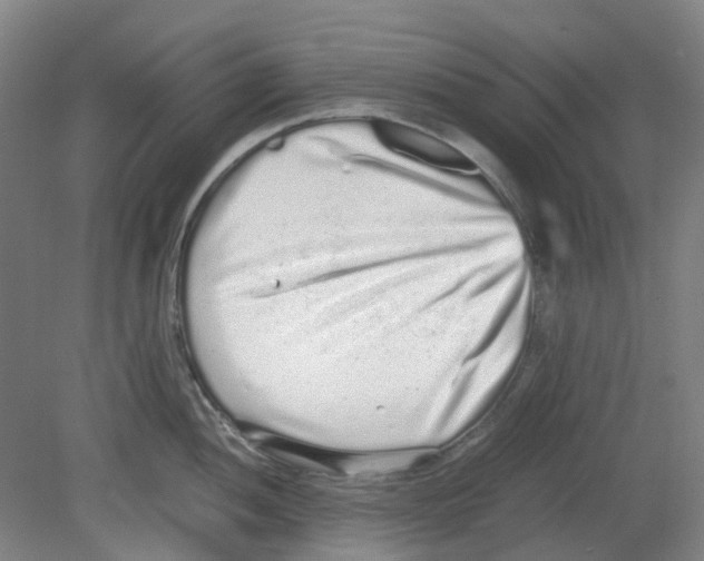 X0000080141052200701051508