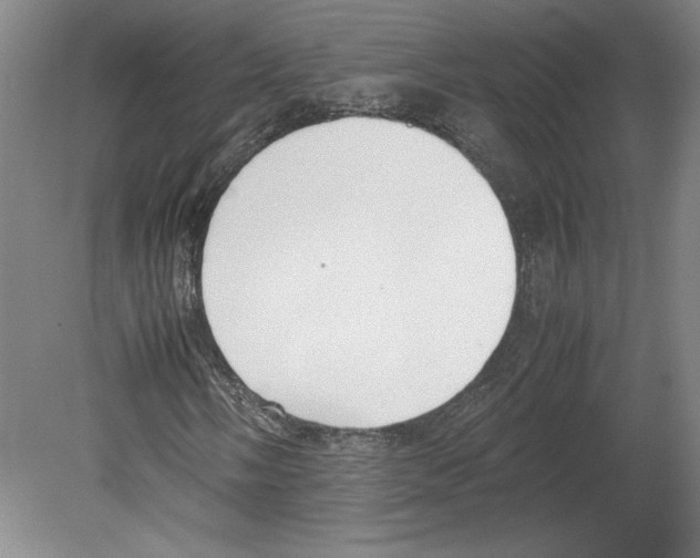 X0000080141058200701051508