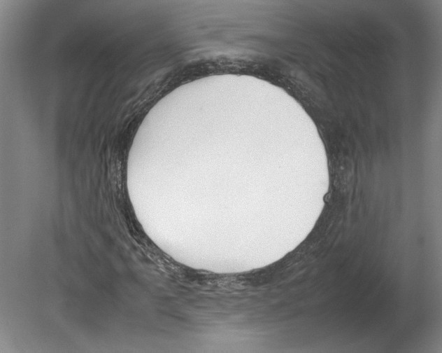 X0000080141061200701051507