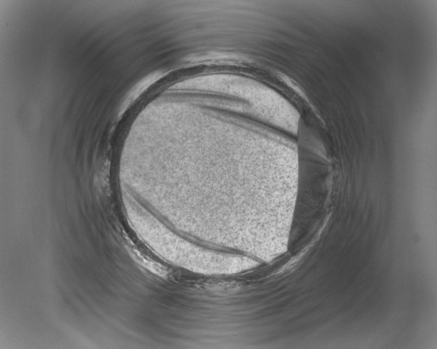 X0000080141066200701051507