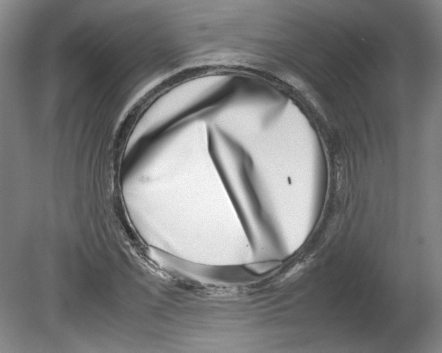 X0000080141069200701051507