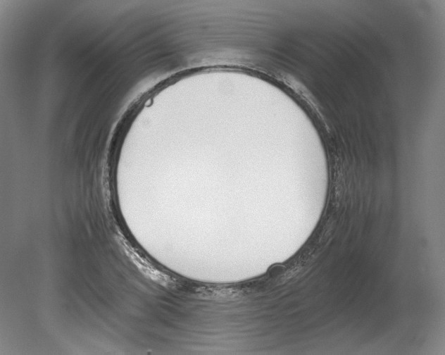 X0000080141072200701051507