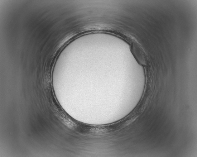 X0000080141073200701051507