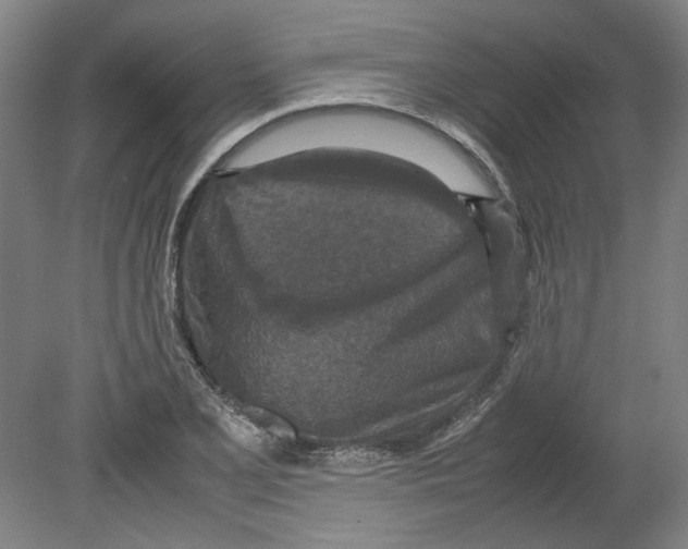 X0000080141077200701051507