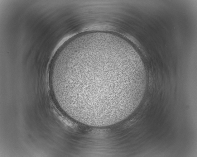 X0000080141078200701051507
