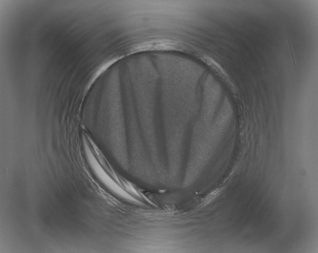 X0000080141081200701051507