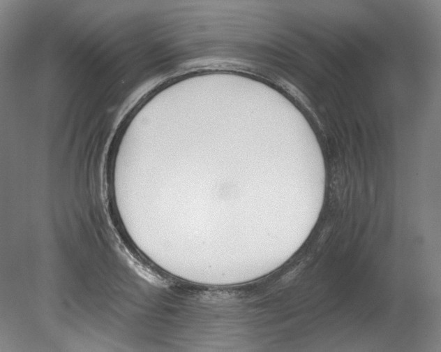 X0000080141082200701051507