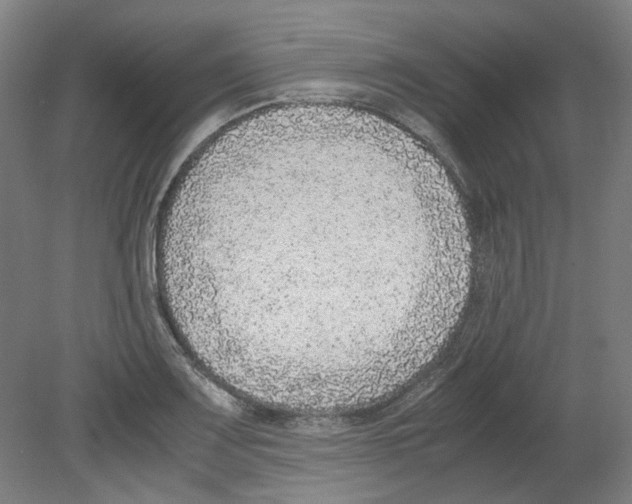 X0000080141083200701051507