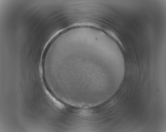 X0000080141084200701051507