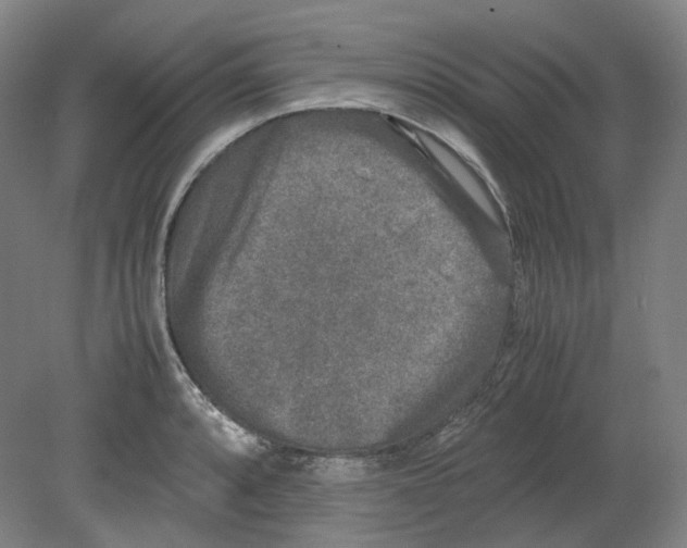 X0000080141088200701051507