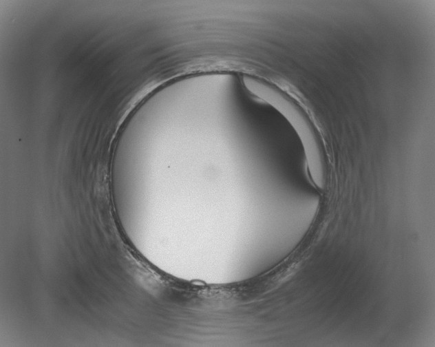 X0000080141089200701051507