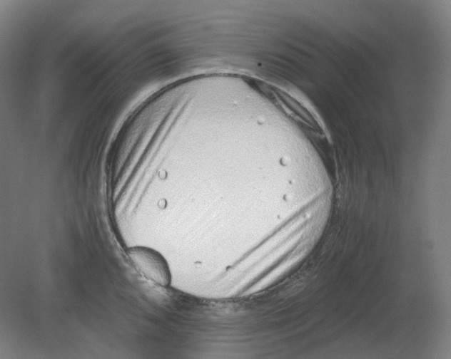 X0000080141096200701051507