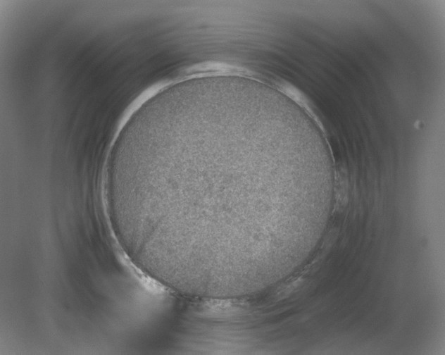 X0000080141098200701051507