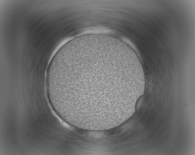 X0000080141103200701051507