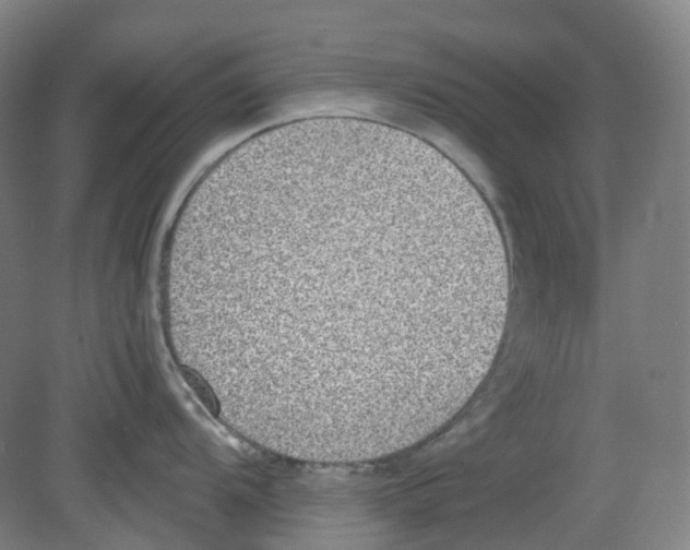 X0000080141104200701051507