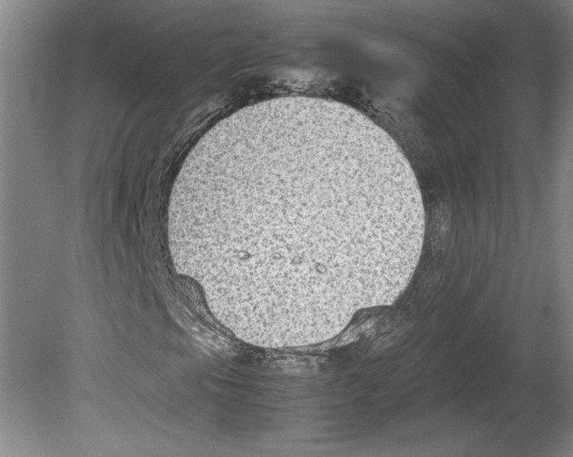 X0000080141105200701051506
