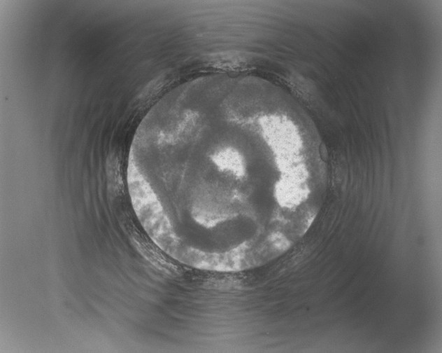 X0000080141106200701051506