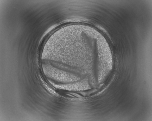 X0000080141114200701051506